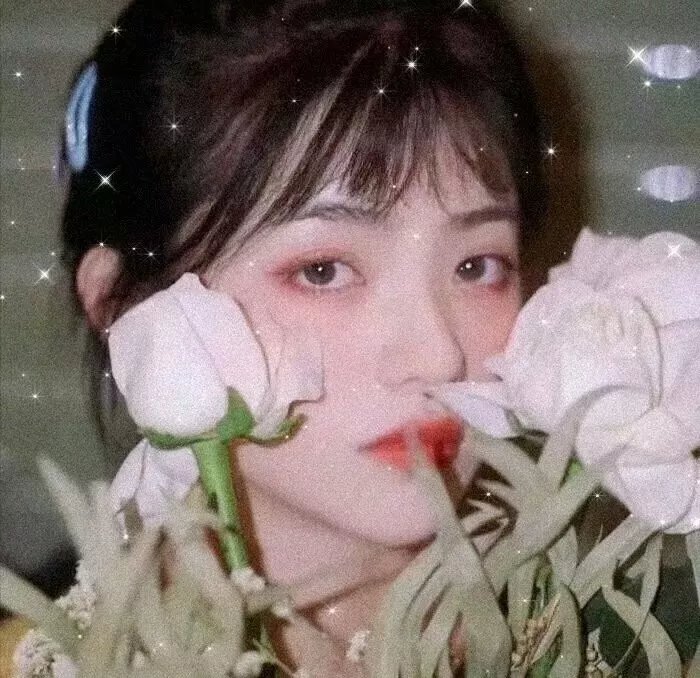 皇妃她不讲武德
